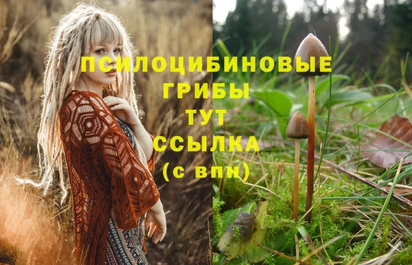 дурь Балахна