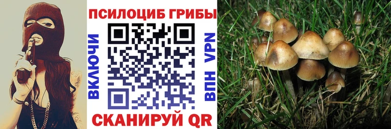 Галлюциногенные грибы мицелий  Шадринск 